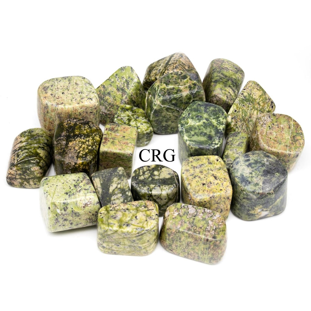 Tumbled Extra Quality Asterite Serpentine / 1-2" AVG - 1 KILO LOT