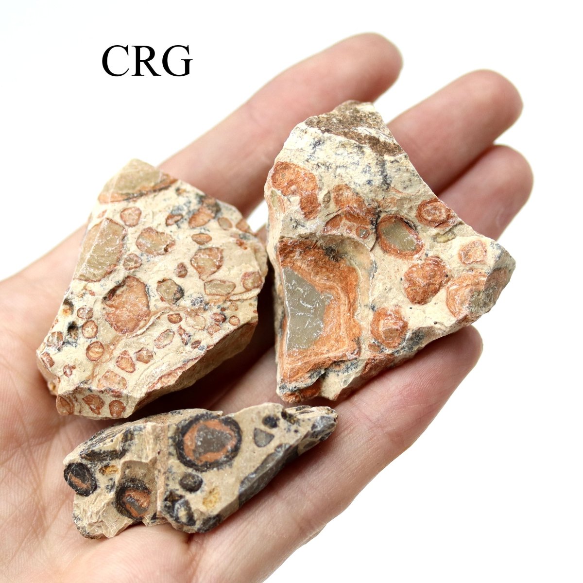 Rough Leopard Skin Jasper / 1-2" AVG - 1 KILO LOT