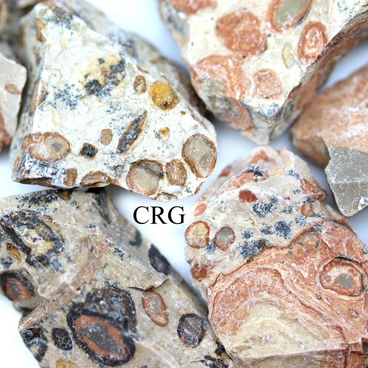 Rough Leopard Skin Jasper / 1-2" AVG - 1 KILO LOT