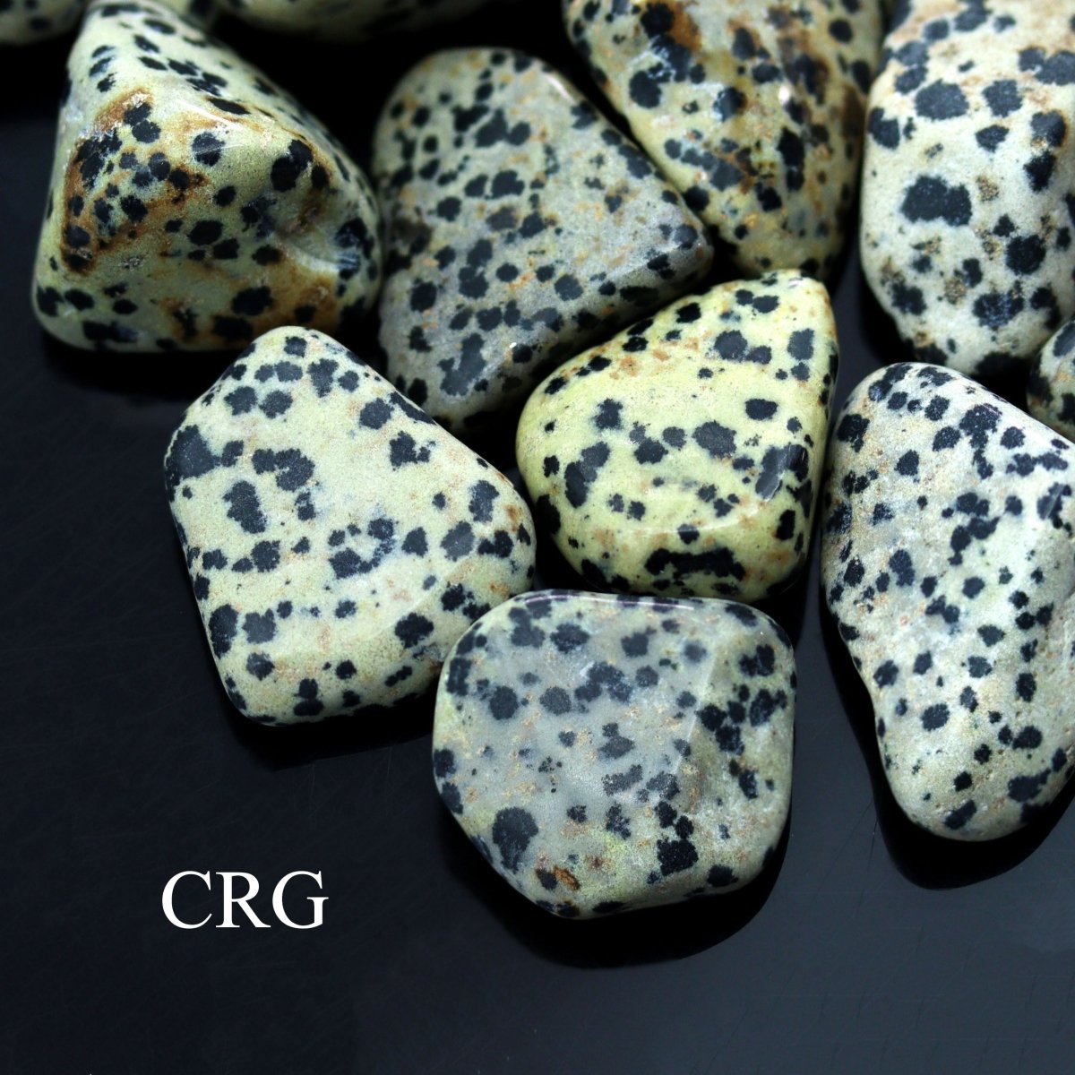 Tumbled Dalmatian Jasper / 30-60mm AVG - 1 LB. LOT