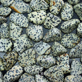 Tumbled Dalmatian Jasper / 30-60mm AVG - 1 LB. LOT