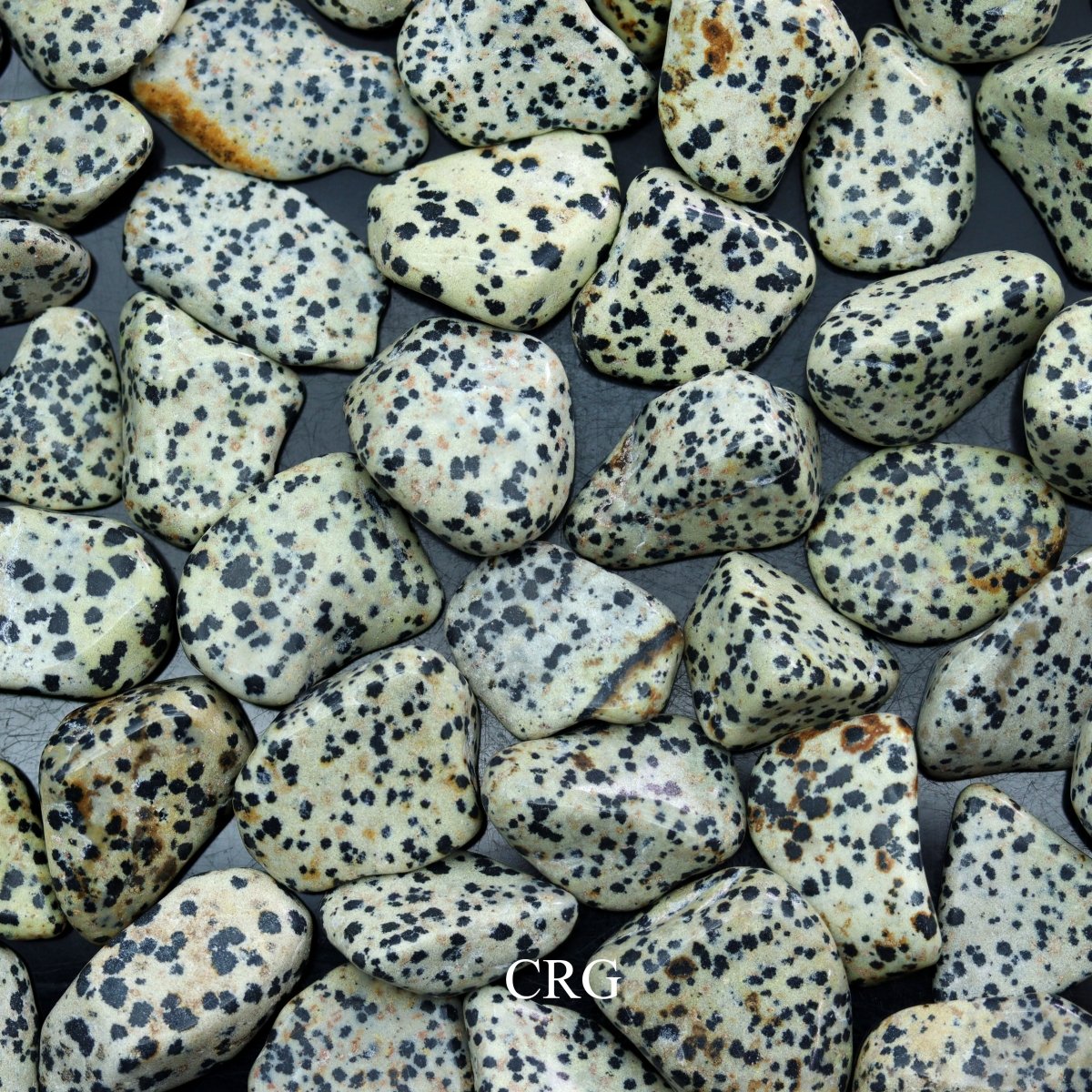 Tumbled Dalmatian Jasper / 30-60mm AVG - 1 LB. LOT