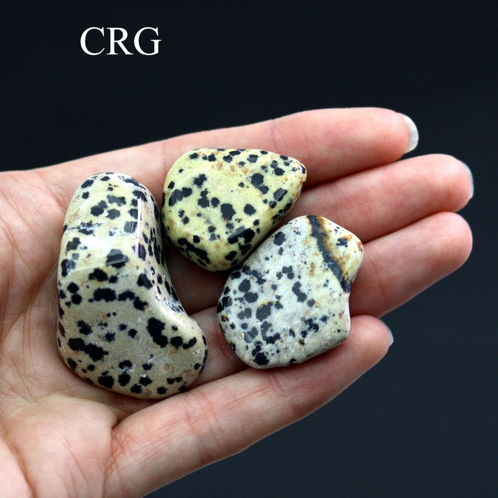 Tumbled Dalmatian Jasper / 30-60mm AVG - 1 LB. LOT