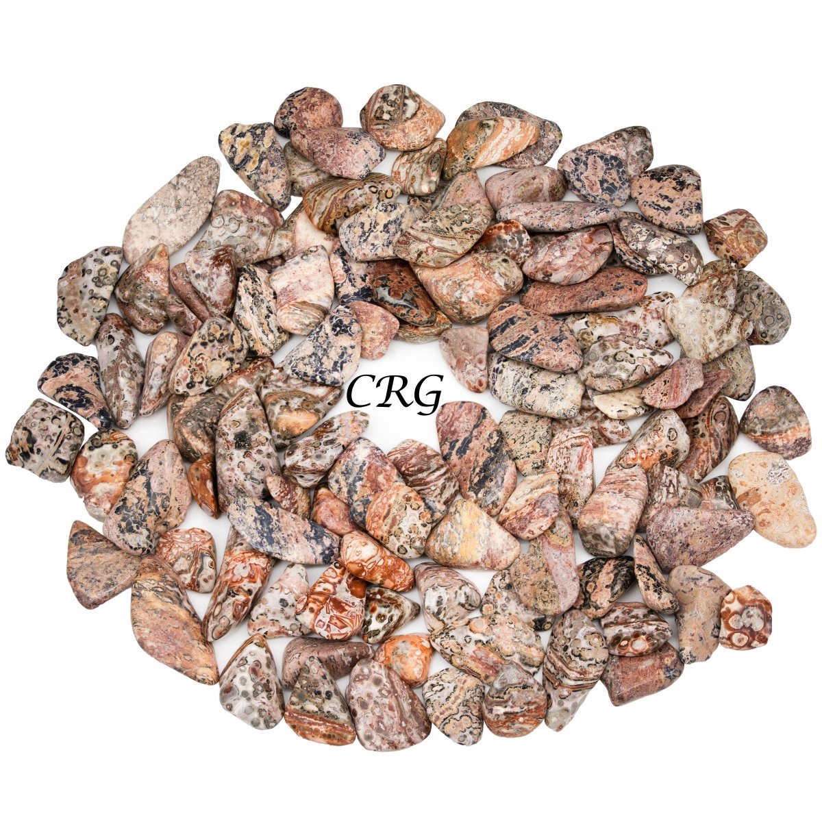 Tumbled Leopard Skin Jasper / 0.5 - 1" AVG - 1 LB. LOT