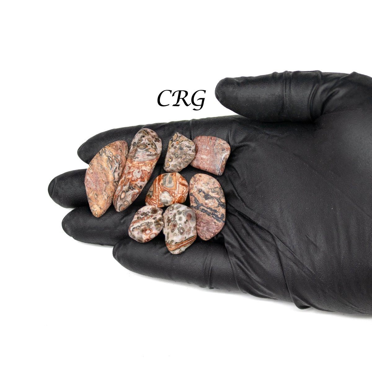 Tumbled Leopard Skin Jasper / 0.5 - 1" AVG - 1 LB. LOT