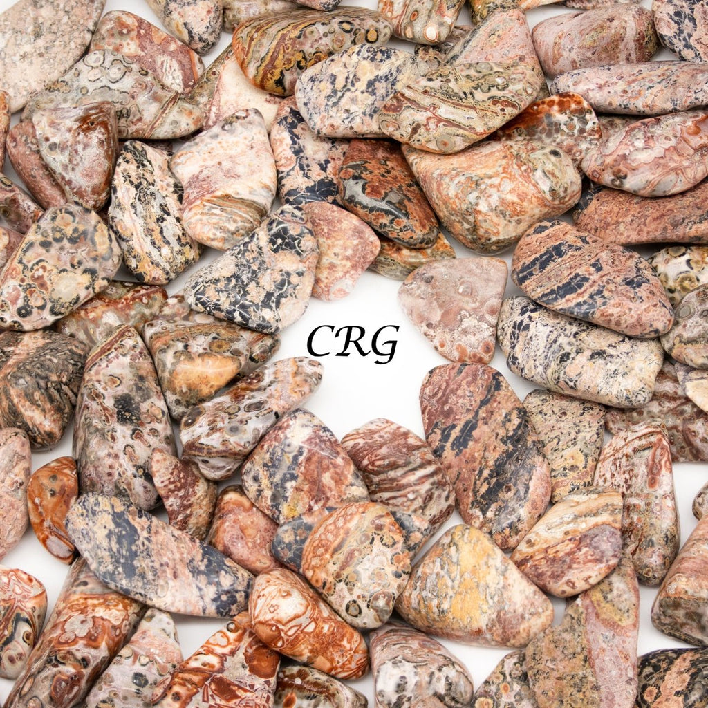 Tumbled Leopard Skin Jasper / 0.5 - 1" AVG - 1 LB. LOT