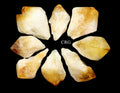 Raw Extra Quality Citrine Points / 3-5" AVG - 1 LB. LOT