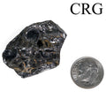 Elite Shungite Crystal / 11-20g AVG - 1 PIECE