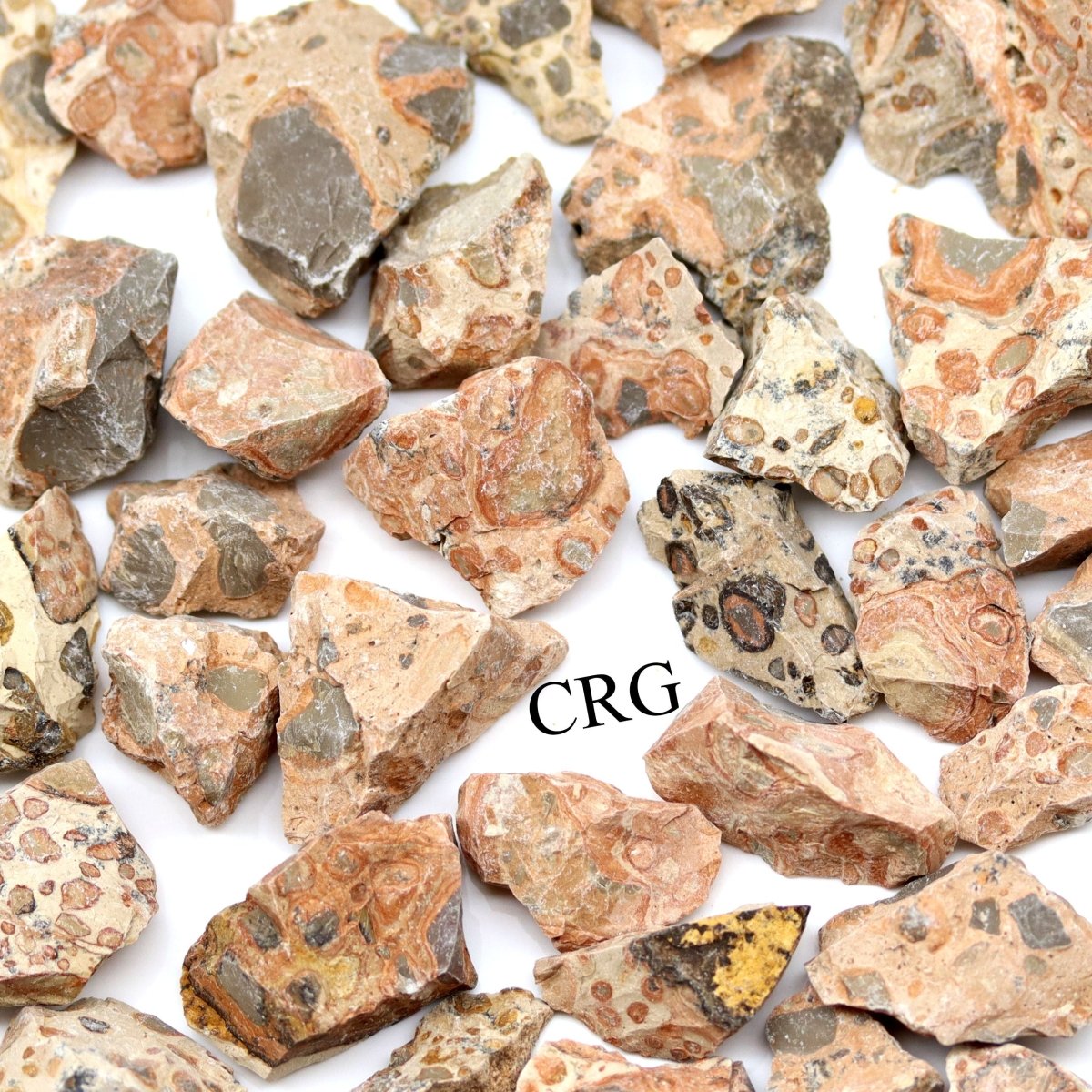 Rough Leopard Skin Jasper / 1-2" AVG - 1 PIECE