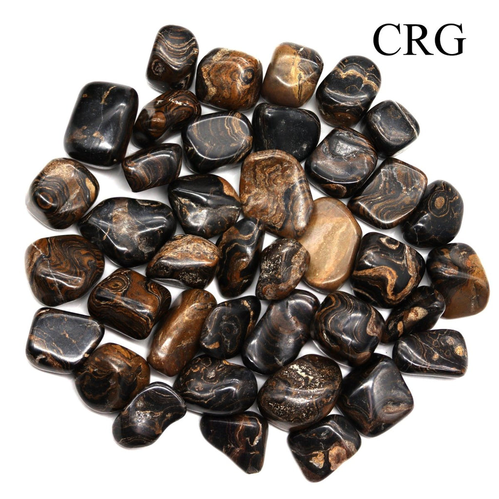 Tumbled Stromatolite / 1" AVG - 1 PIECE