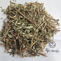 Chanca Piedra | Kidney & Gallbladder Support
