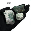 5 KILO LOT - Rough Tree Agate from India