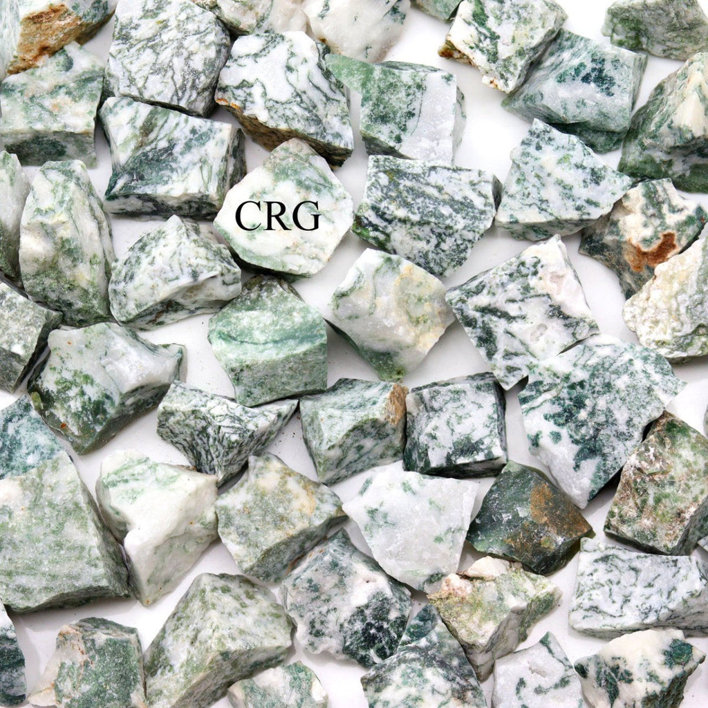 5 KILO LOT - Tree Agate Rough from India / 25-40mm Avg