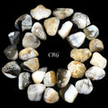Tumbled Blue Chalcedony with Inclusions / 0.5-1.5" AVG - 1 KILO LOT