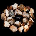 Rough Carnelian Agate / 30g AVG - 1 LB. LOT