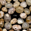 Tumbled Flower Agate / 1" AVG - 1 LB. LOT