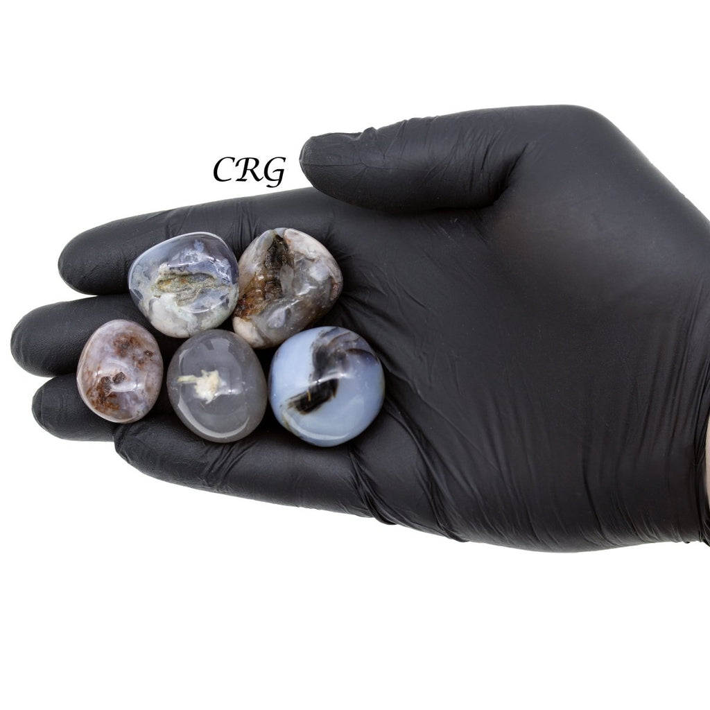 Black Flower Agate Tumble 1 LB.