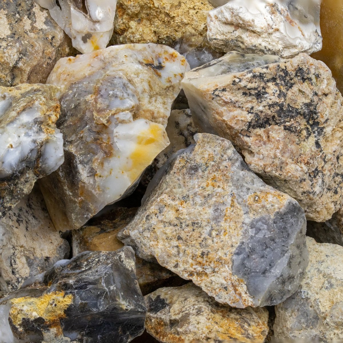 Dendritic Agate Rough Pieces (Size 1 To 2 Inches) Wholesale Raw Crystals Minerals Gemstones