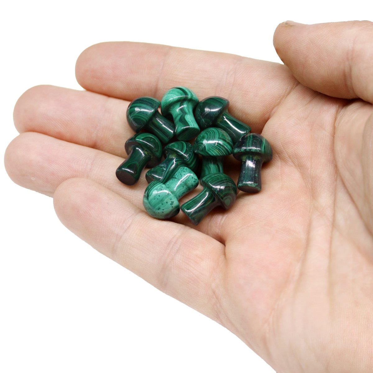 PACK OF 10 - Mini Malachite Mushrooms / .5"-.75" avg.