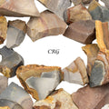 Polychrome Desert Jasper Rough Pieces (Size 1 to 2 Inches) Wholesale Raw Crystals Minerals Gemstones