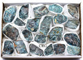 QTY 1 - Rough Apatite Medium Flat / 1-2" AVG