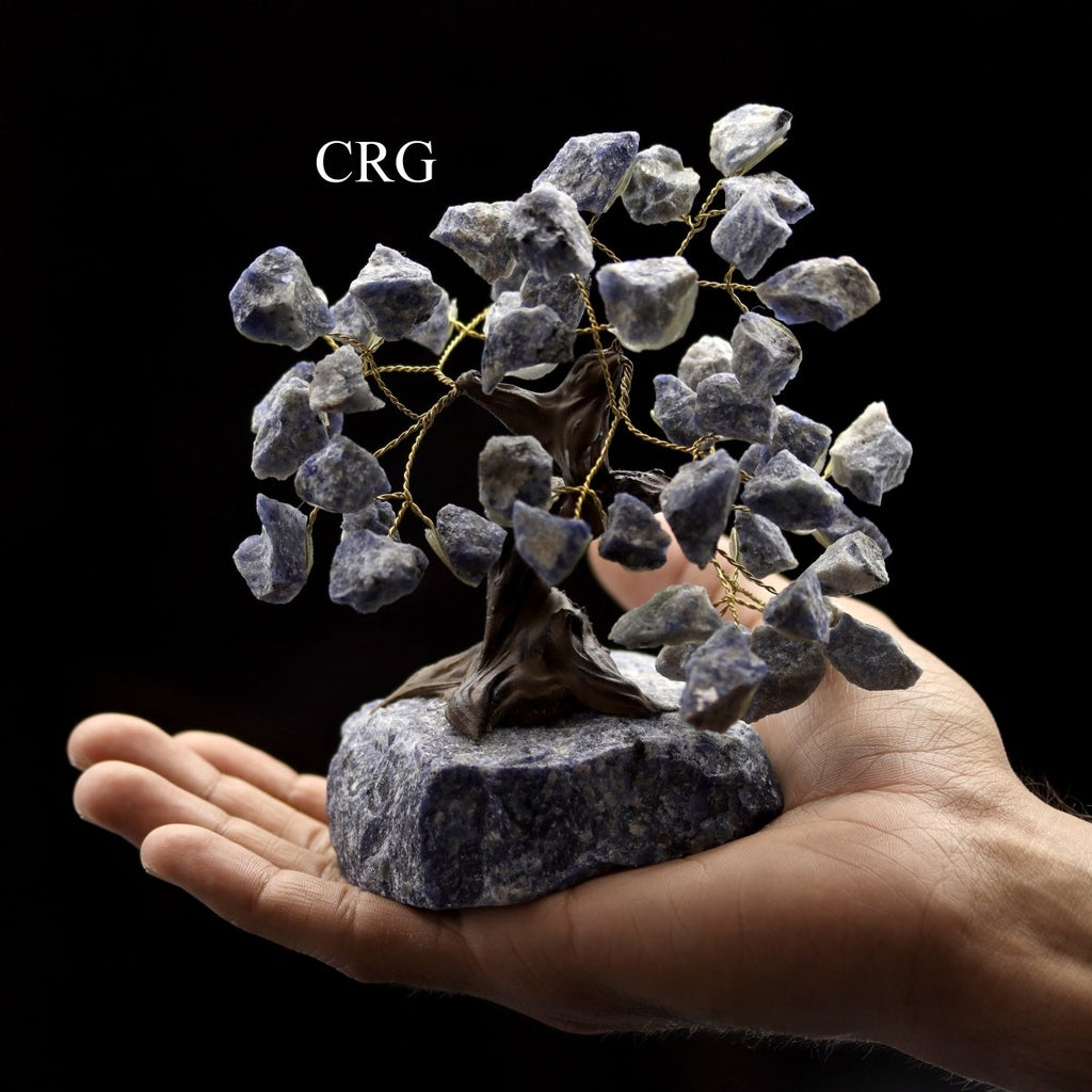 QTY 1 - Sodalite Bonsai Tree On Rough Rock Base / 4-5" AVG