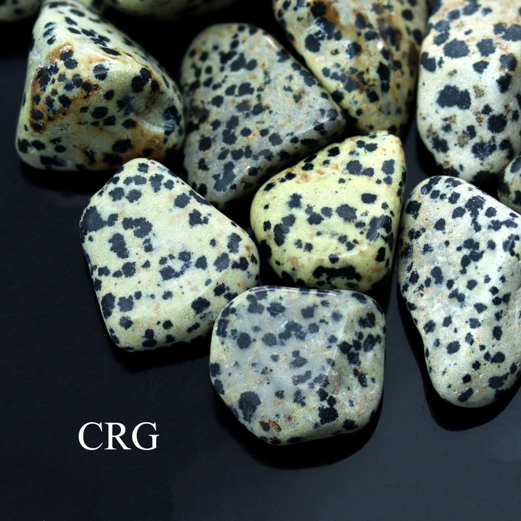 Tumbled Dalmatian Jasper / 30-60mm AVG - 1 KILO LOT