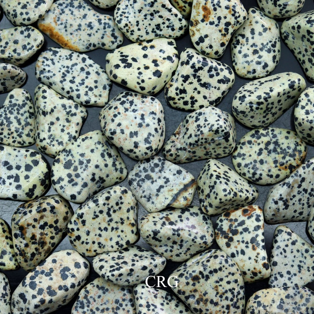 Tumbled Dalmatian Jasper / 30-60mm AVG - 1 KILO LOT